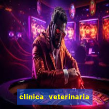 clinica veterinaria cuidar betim